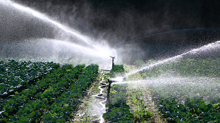 agua-para-riego