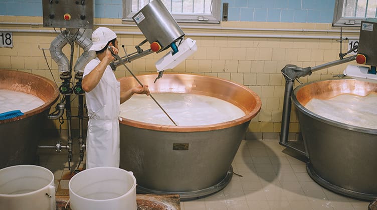 cal-para-alimentos